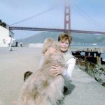 12-y-o Golden Retriever "Gypsy" on a trip to San Francisco