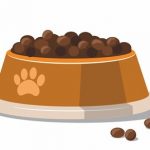 dog food bowl(1)