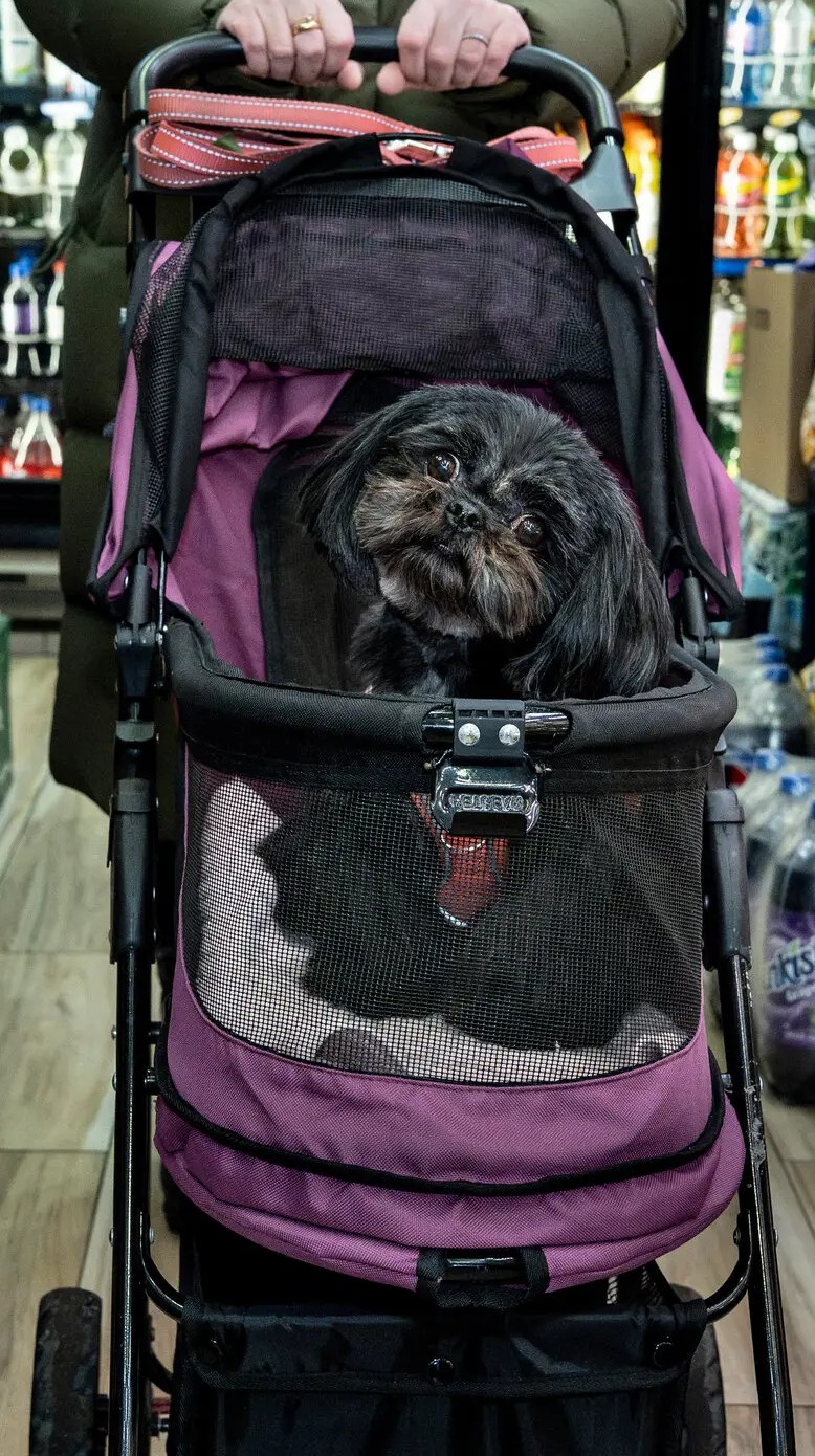 stroller